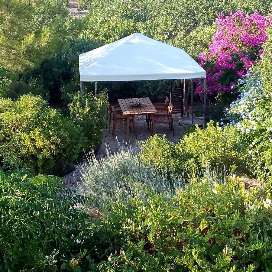 Aegina'S Oasis Villa Eksteriør billede