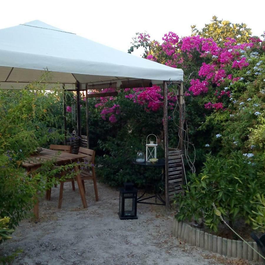Aegina'S Oasis Villa Eksteriør billede